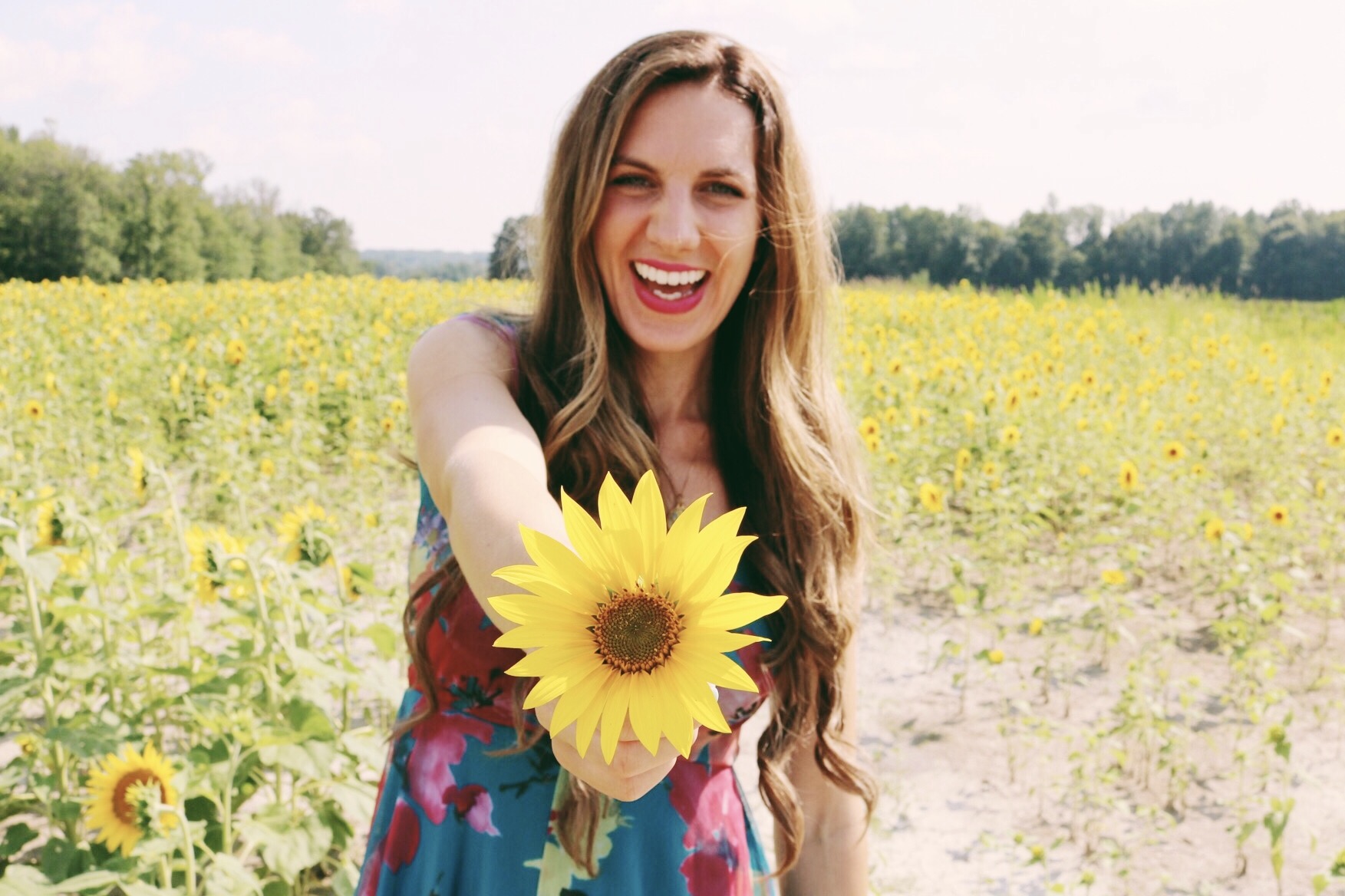 Claire in Sunflower Field